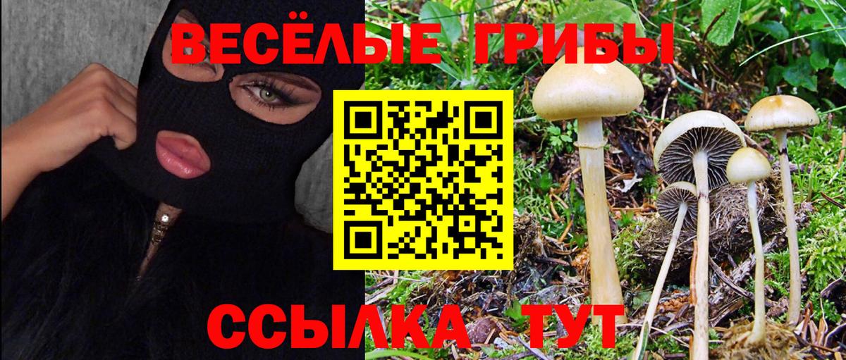 Псилоцибиновые грибы Magic Shrooms  Вход с VPN  цена   Галлюциногенные грибы Psilocybine cubensis  Воткинск 